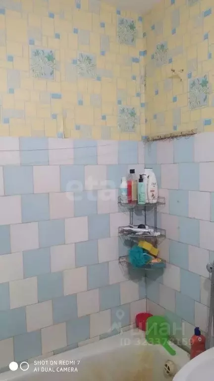 2-к кв. Курганская область, Курган ул. Урицкого, 29 (48.0 м) - Фото 0