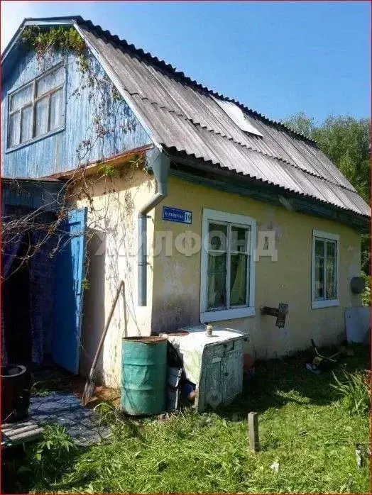 Дом в Новосибирская область, Новосибирский район, Раздольненский ... - Фото 2