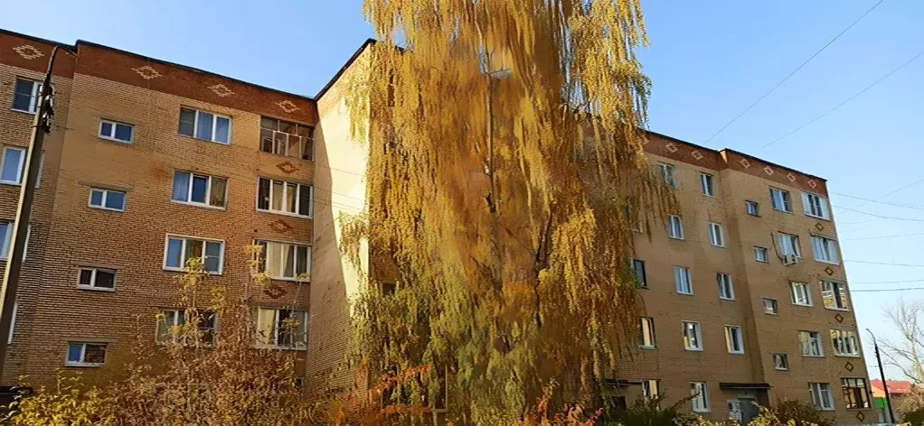 2-к кв. Московская область, Рошаль ул. Химиков, 7 (50.0 м) - Фото 1