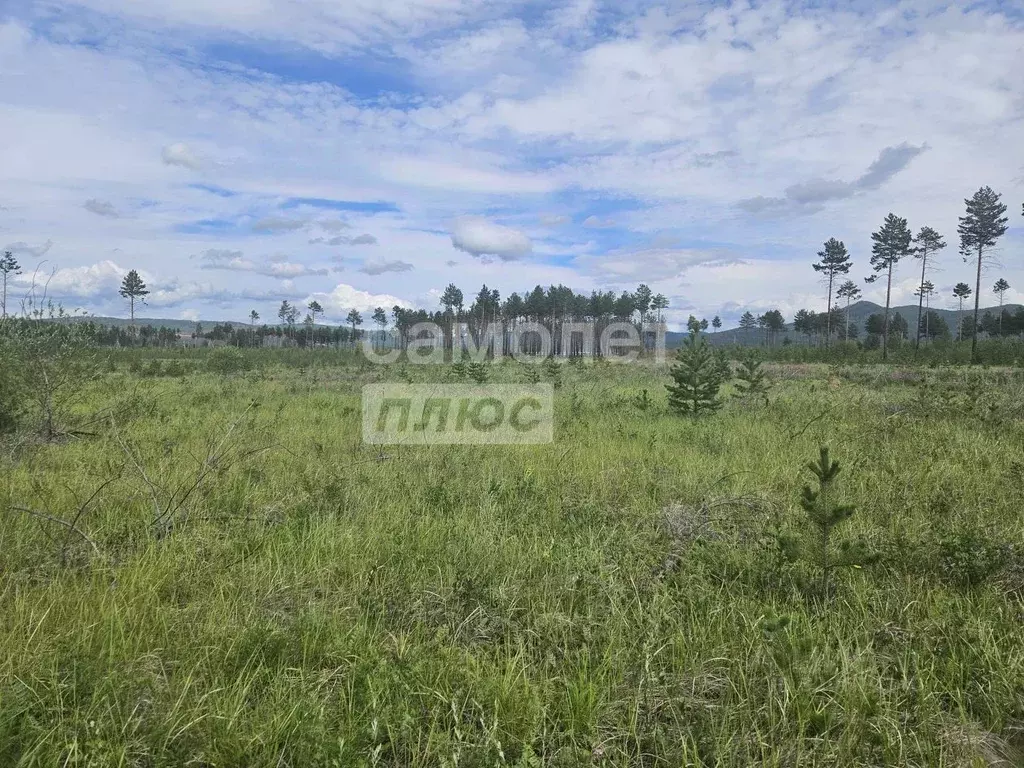 Участок в Забайкальский край, Читинский район, с. Смоленка  (50.0 ... - Фото 2