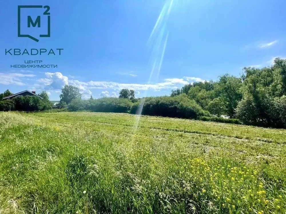 Участок в Нижегородская область, Арзамас городской округ, с. Новоселки ... - Фото 0