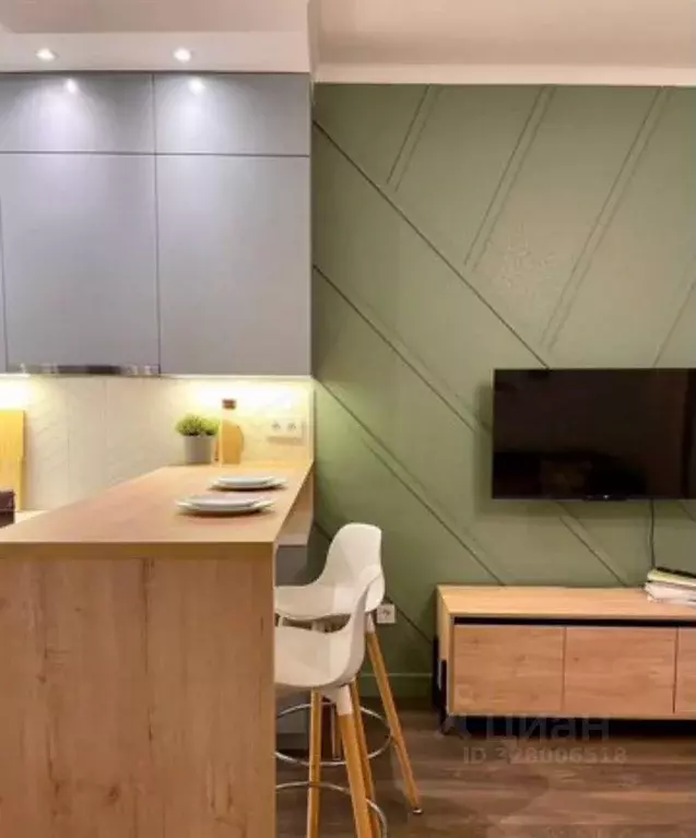 Студия Санкт-Петербург ул. Ультрамариновая, 10 (25.0 м) - Фото 2