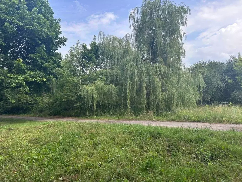 Дом в Курская область, Фатежский район, с. Большое Жирово 114А (304 м) - Фото 0