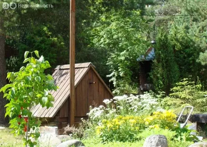 Дом в Приозерский район, Петровское сельское поселение, деревня ... - Фото 2