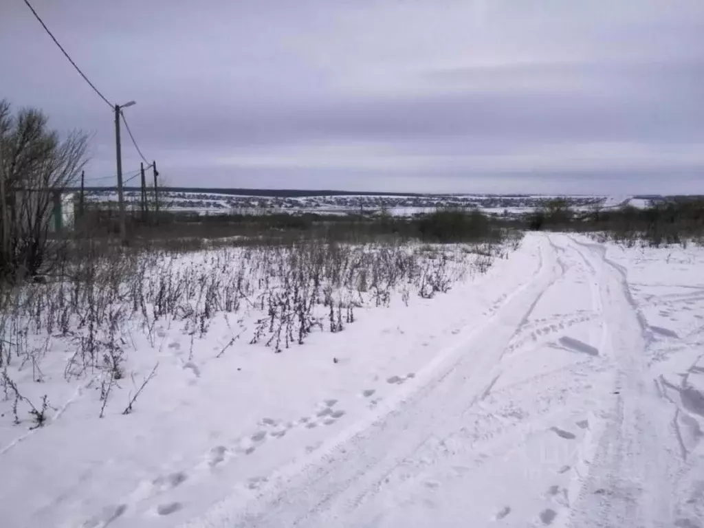 Участок в Белгородская область, Белгородский район, Беловское с/пос, ... - Фото 0