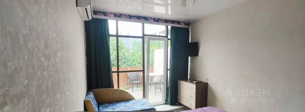 1-к кв. Крым, Ялта ул. Достоевского, 13 (30.0 м) - Фото 2