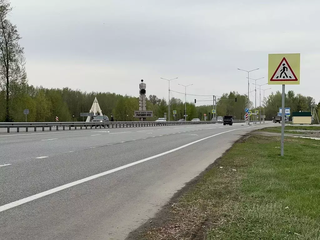 Участок в Алтай, Майминский район Р-256 Чуйский тракт, 432-й км (8.4 ... - Фото 0