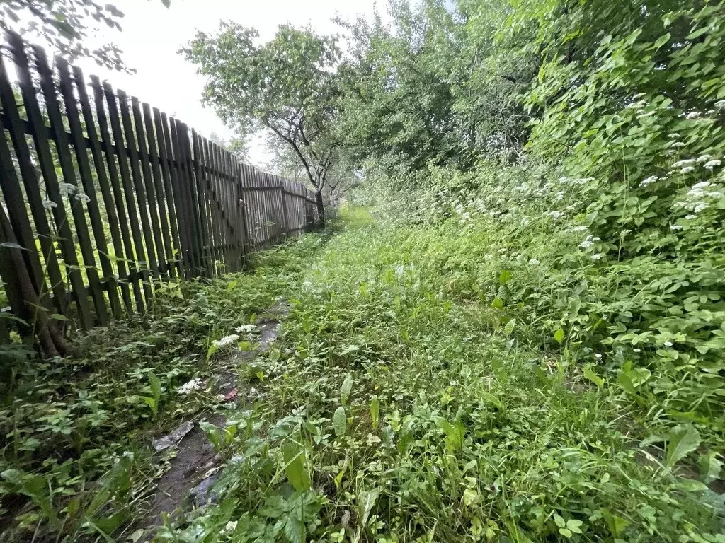 Участок в Смоленская область, Смоленский муниципальный округ, Вишенки ... - Фото 1