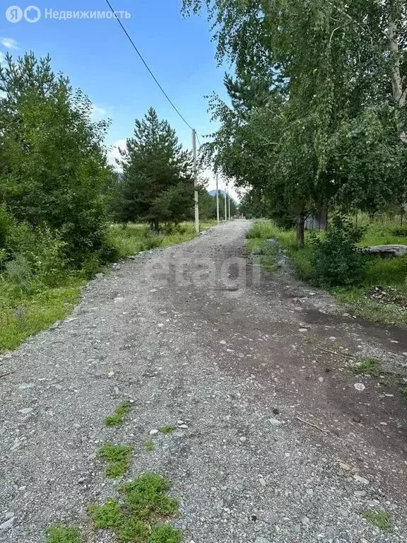 Участок в Чемальский район, село Анос (34.4 м) - Фото 0