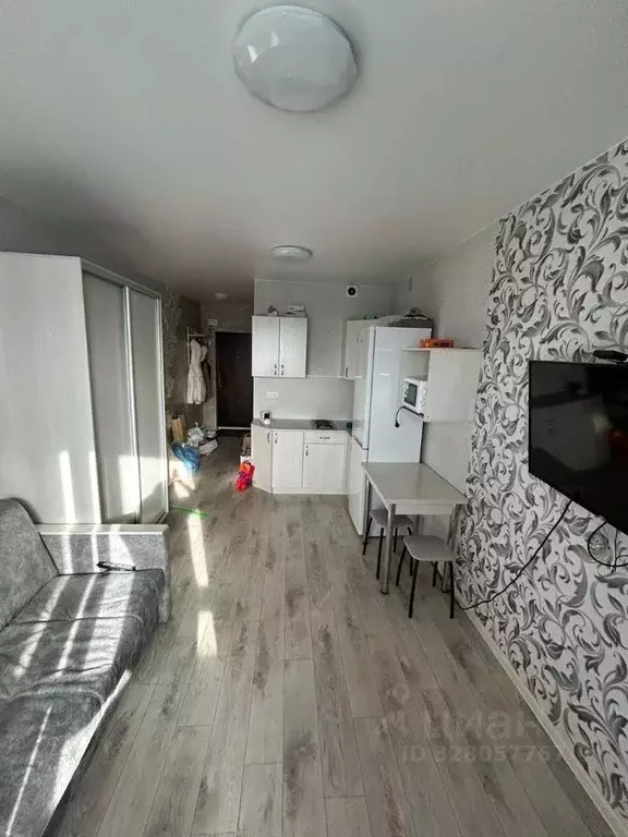 Студия Алтайский край, Барнаул Социалистический просп., 117 (18.0 м) - Фото 1