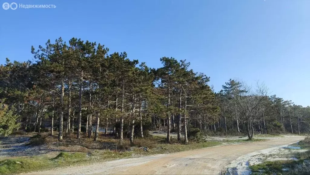 Участок в Севастополь, садоводческое товарищество Мрия, 178 (4 м) - Фото 1