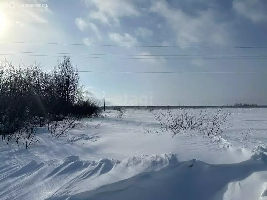 Участок в Республика Мордовия, село Лямбирь (15 м) - Фото 1