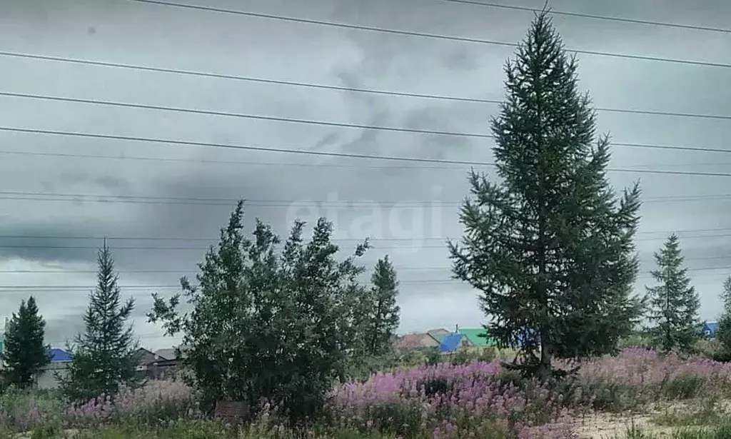 Участок в Ямало-Ненецкий АО, Новый Уренгой Дружба ТСН, проезд 4-й ... - Фото 2