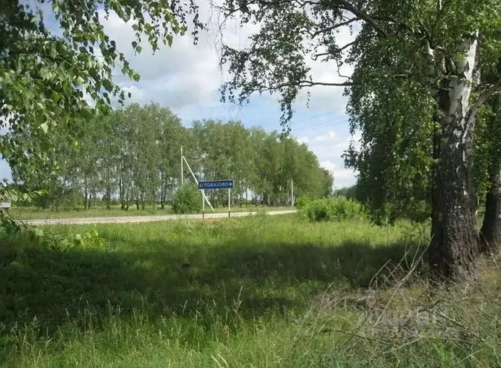 Участок в Рязанская область, Спасский муниципальный округ, Содружество ... - Фото 1