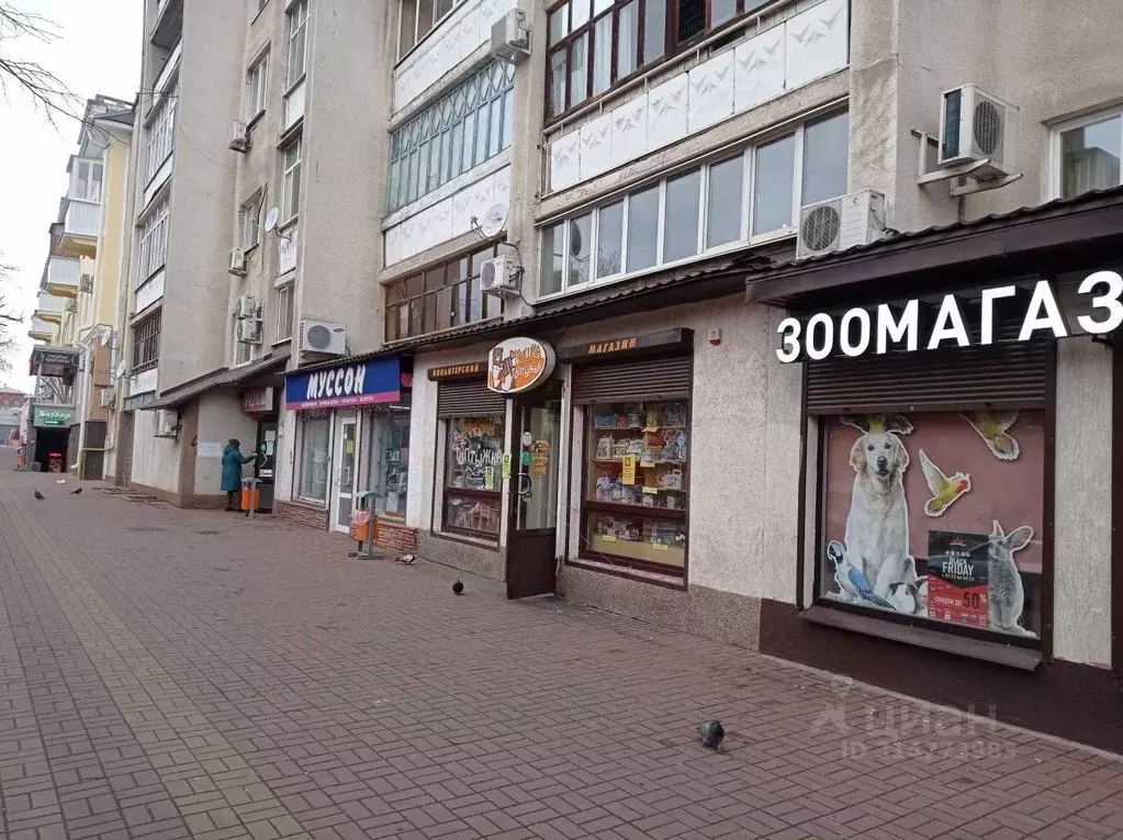 Помещение свободного назначения в Белгородская область, Белгород ... - Фото 1