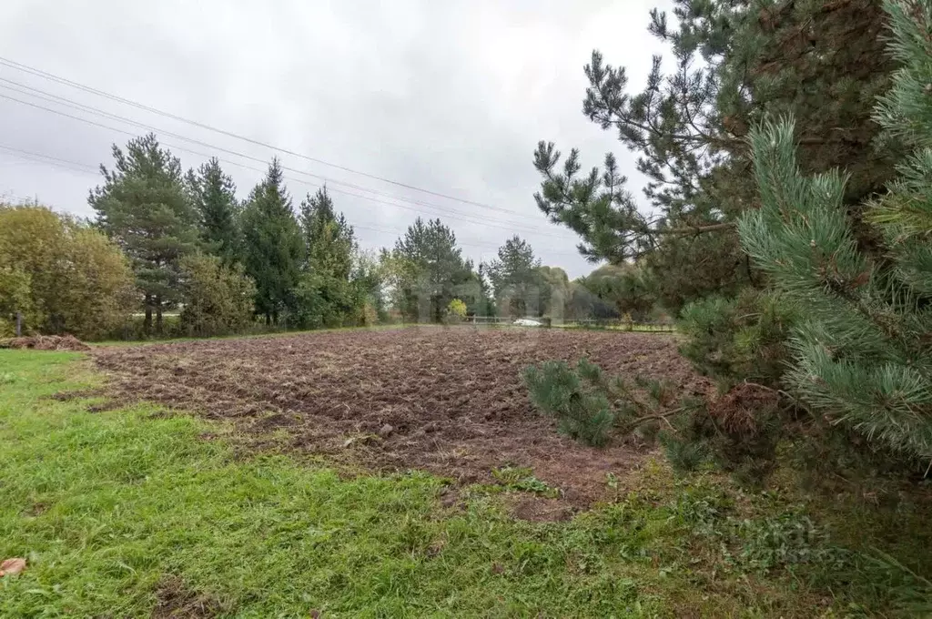 Участок в Вологодская область, пос. Ермаково ул. Сиреневая (7.44 сот.) - Фото 1