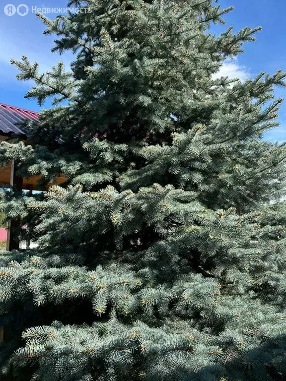 Дом в Иркутский муниципальный округ, СНТ Росинка, Кедровая улица, 35 ... - Фото 2