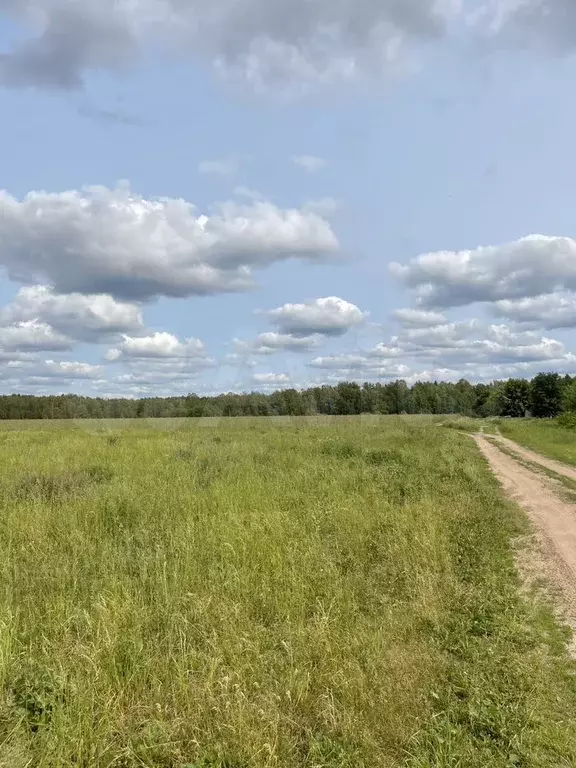 Участок 15 га (СНТ, ДНП) - Фото 1