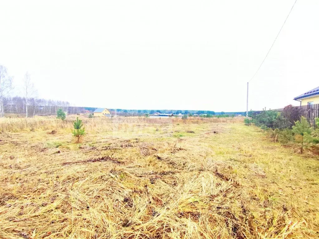 Участок в Московская область, Егорьевск муниципальный округ, д. ... - Фото 2