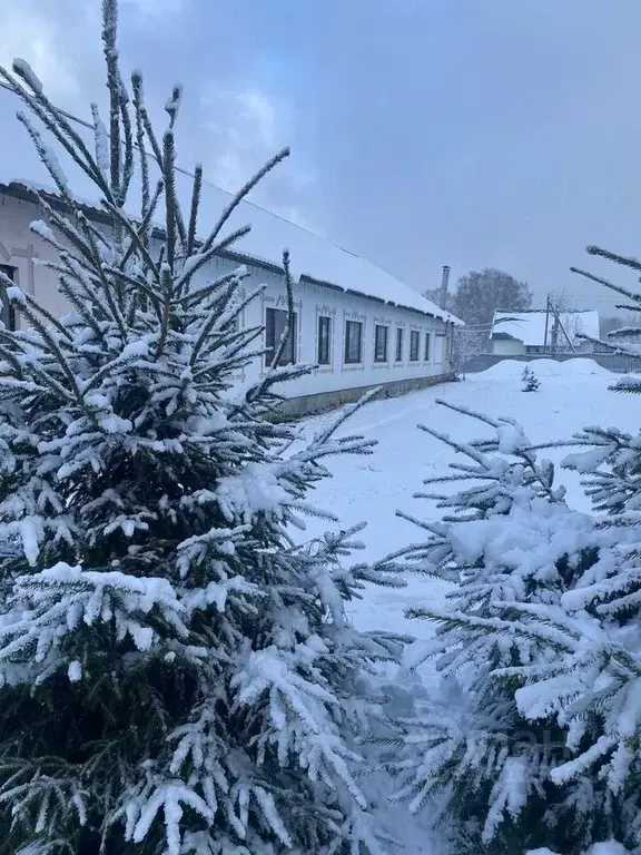 Дом в Тверская область, Старицкий муниципальный округ, д. Родня ул. ... - Фото 2