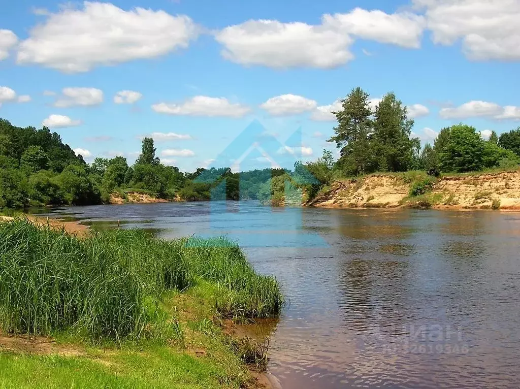 Участок в Новгородская область, Батецкий район, д. Русыня  (18.0 сот.) - Фото 0