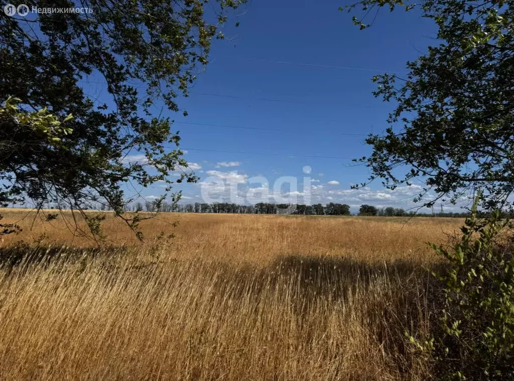 Участок в Винницкое, Светлая улица (5.78 м) - Фото 2