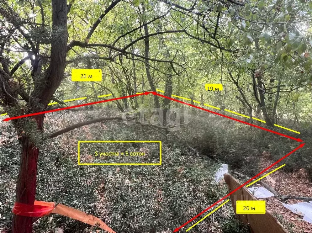 Участок в Крым, Ялта муниципальный округ, Гаспра пгт  (5.0 сот.) - Фото 1