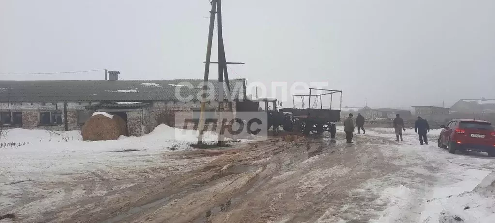 Производственное помещение в Курская область, Медвенский район, ... - Фото 2