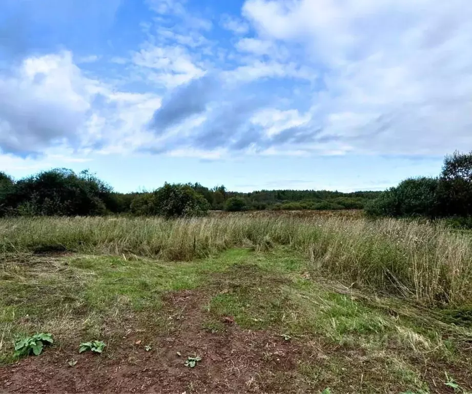 Участок в Пермский край, Краснокамский муниципальный округ, д. Мишкино ... - Фото 2