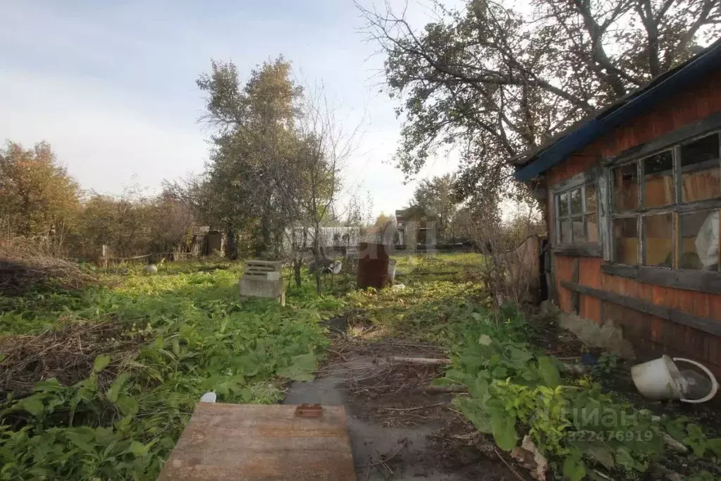 Участок в Челябинская область, Челябинск Авиатор садовое товарищество, ... - Фото 1