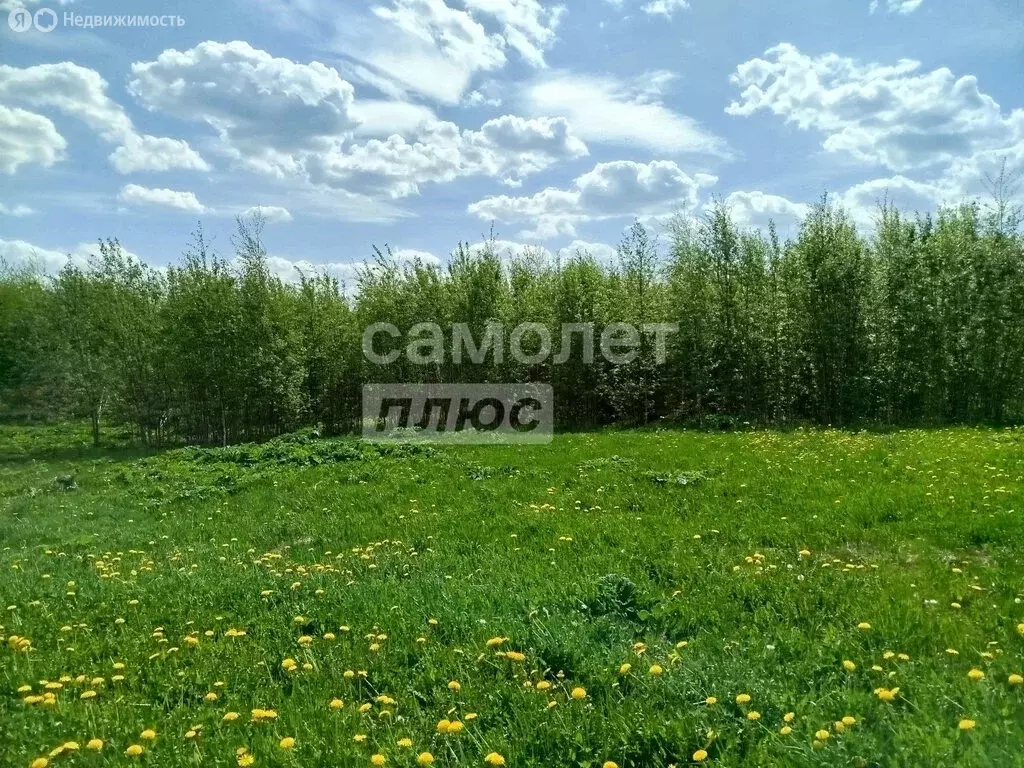 Участок в село Выльгорт, Совхозная улица, проезд № 3 (19.88 м) - Фото 0