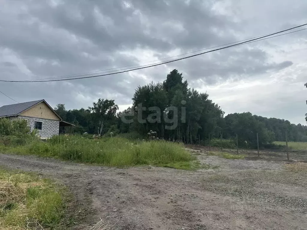Участок в Кемеровская область, Кемеровский район, Образцово кп  (12.0 ... - Фото 0