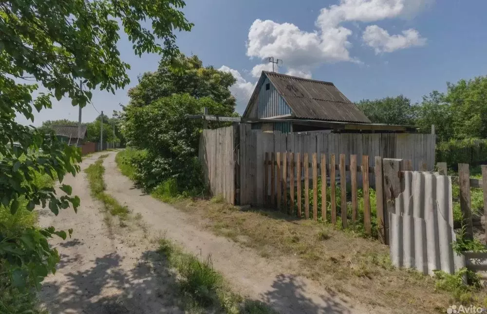 Участок в Амурская область, Благовещенск городской округ, с. Белогорье ... - Фото 2