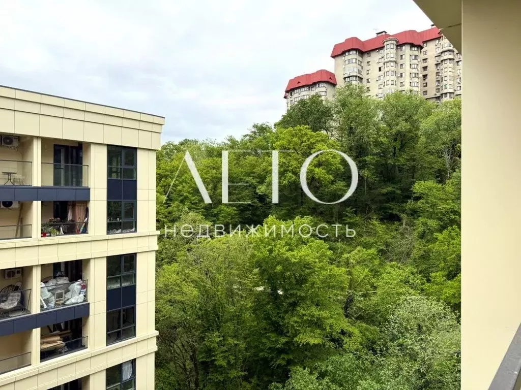 1-к кв. Краснодарский край, Сочи Пластунская ул., 104Бк2 (30.0 м) - Фото 1