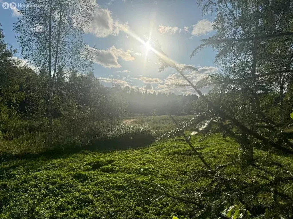 Участок в Савинское сельское поселение, деревня Рышево (9 м) - Фото 1