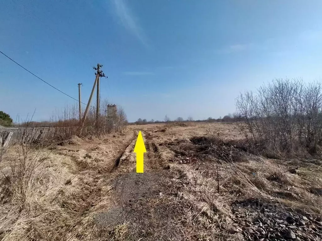 Участок в Новгородская область, Новгородский муниципальный район, ... - Фото 2