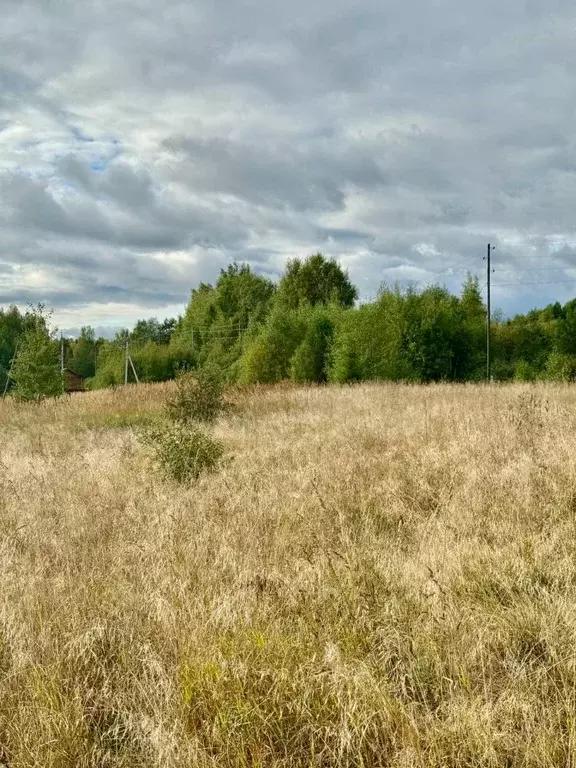 Участок в Пермский край, Краснокамский муниципальный округ, пос. ... - Фото 2