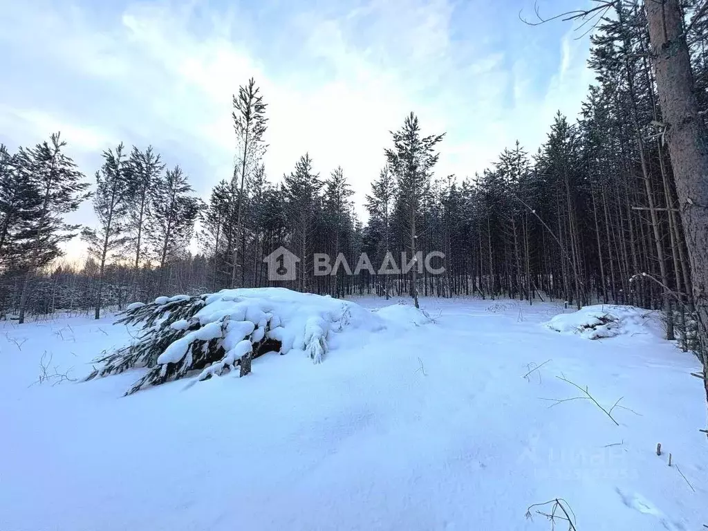 Участок в Иркутская область, Иркутск Славный мкр, ул. Заветная (15.0 ... - Фото 1