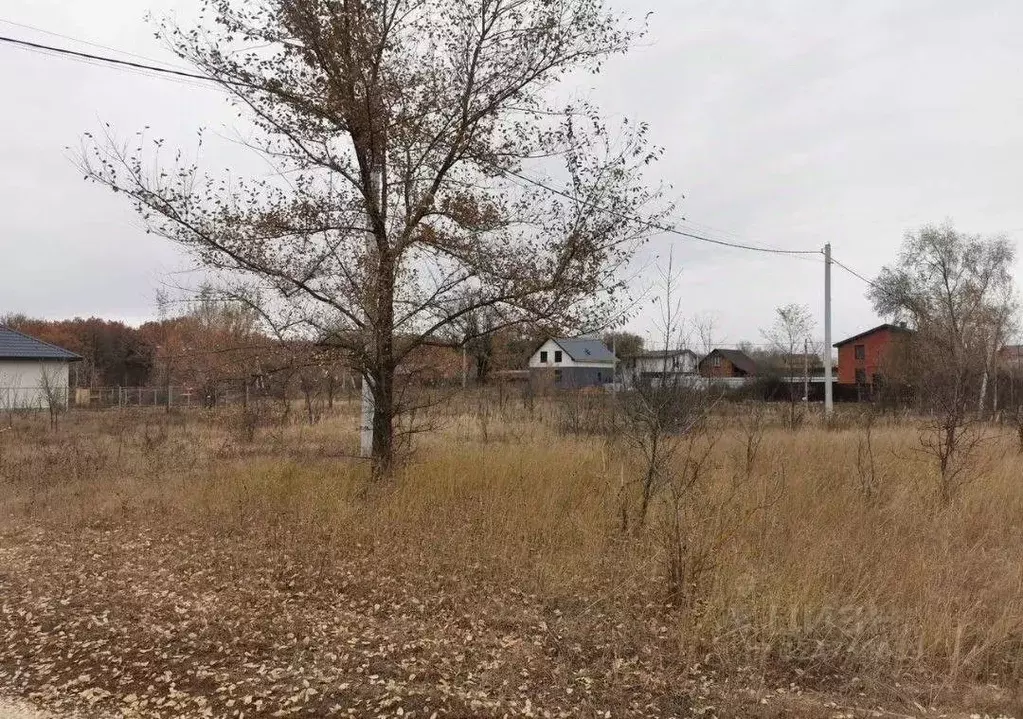 Участок в Самарская область, Кинельский с/пос, пос. Культура ул. ... - Фото 2