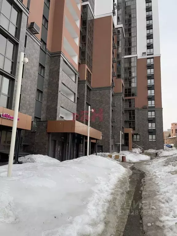 Офис в Пензенская область, Пенза ул. Богданова (62 м) - Фото 2