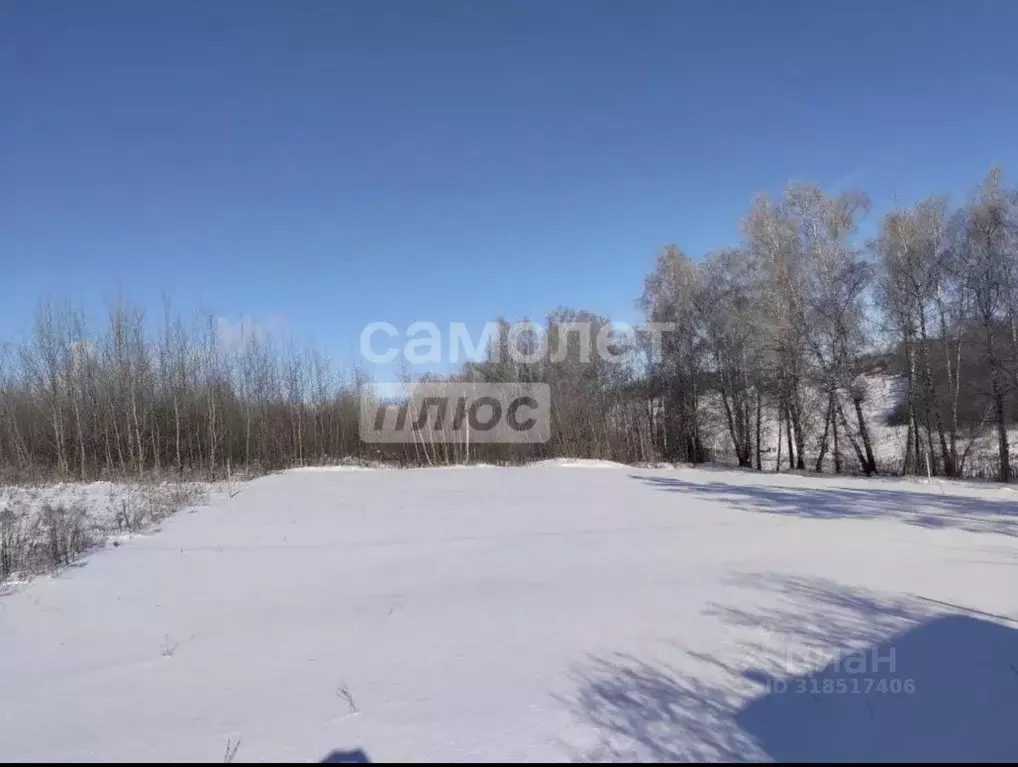 Участок в Курская область, Курск Северный жилрайон,  (10.0 сот.) - Фото 1