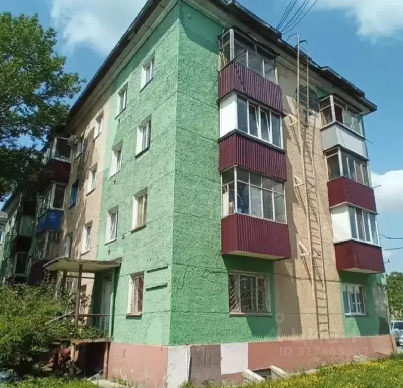 1-к кв. Сахалинская область, Южно-Сахалинск ул. Ленина, 301 (29.4 м) - Фото 1