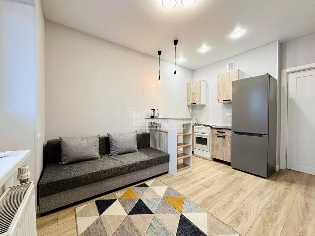 Студия Московская область, Ногинск Богородский городской округ, ул. ... - Фото 1