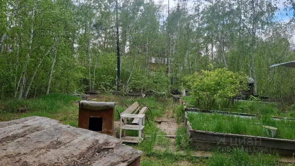 Участок в Саха (Якутия), Якутск Сергеляхское ш. (9.54 сот.) - Фото 1