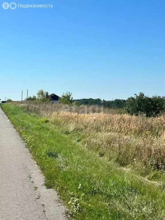 Участок в Ракитянский район, Дмитриевское сельское поселение, хутор ... - Фото 2