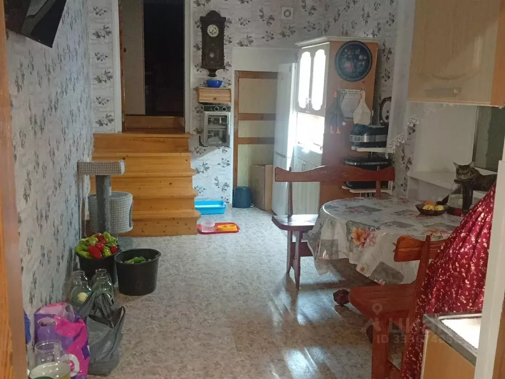 Коттедж в Башкортостан, Учалы Юбилейная ул., 10 (102 м) - Фото 1