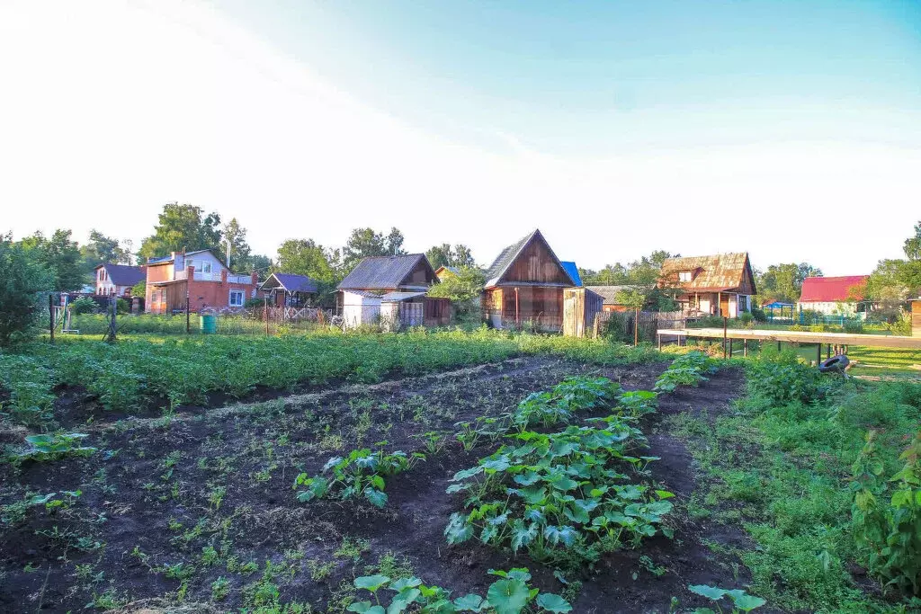 Участок в Первомайский район, посёлок Покровка, некоммерческое ... - Фото 2