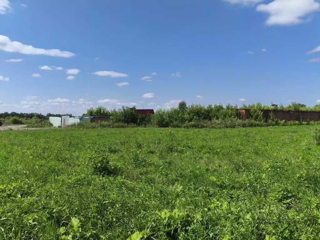 Участок в Московская область, Электроугли Богородский городской округ, ... - Фото 2