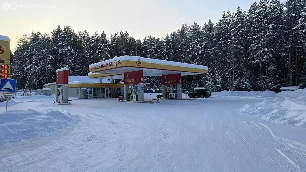 Помещение свободного назначения (300 м) - Фото 1