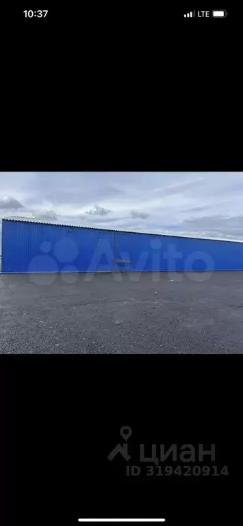 Склад в Московская область, Пушкинский городской округ, д. Митрополье ... - Фото 0